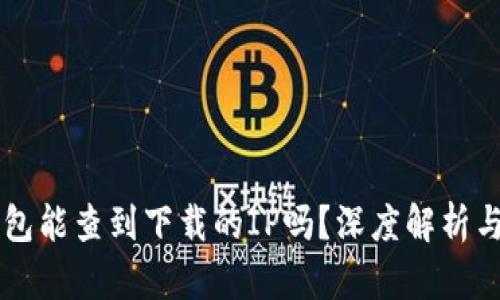 区块链钱包能查到下载的IP吗？深度解析与安全指南