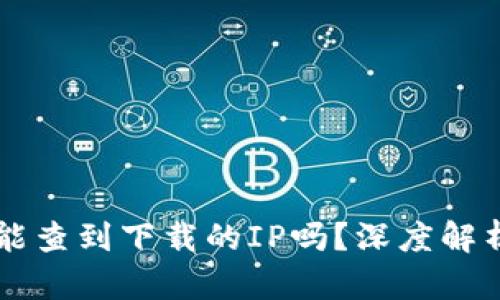 区块链钱包能查到下载的IP吗？深度解析与安全指南