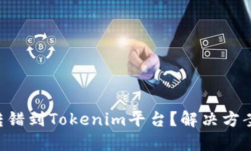 如何将ETC转错到Tokenim平台？解决方案与步骤详解