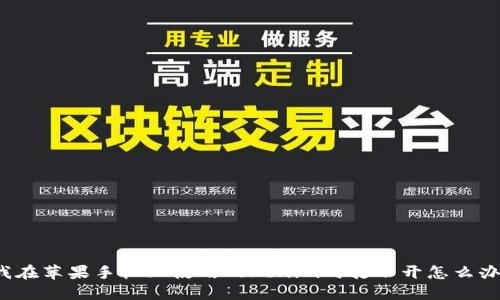 我在苹果手机上使用Tokenim时打不开怎么办？