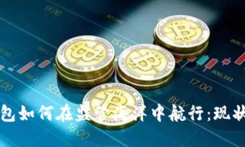 数字货币钱包如何在监管海洋中航行：现状与未来展望