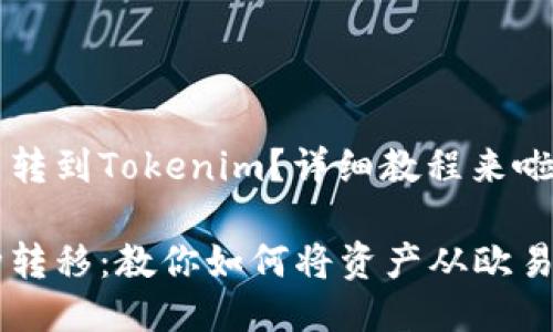 欧易怎么把币转到Tokenim？详细教程来啦！

轻松实现币种转移：教你如何将资产从欧易转到Tokenim