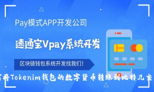 如何将Tokenim钱包的数字货币转账到比特儿交易所