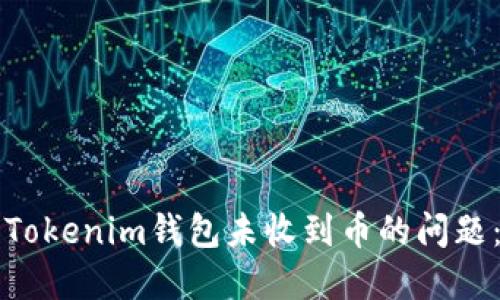 如何解决Tokenim钱包未收到币的问题：全面指南