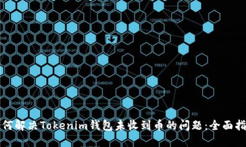 如何解决Tokenim钱包未收到币的问题：全面指南