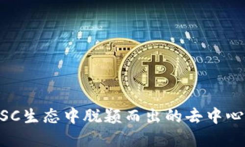TokenIM：在BSC生态中脱颖而出的去中心化钱包新选择