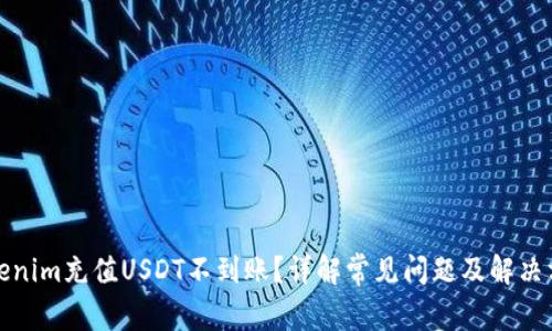 Tokenim充值USDT不到账？详解常见问题及解决方案