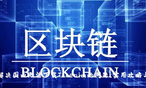 如何解决国内无法下载Tokenim的问题：实用攻略与技巧