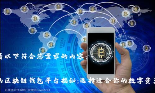 您可以查看以下符合您需求的内容：


全球最大的区块链钱包平台揭秘：选择适合你的数字资产管理工具