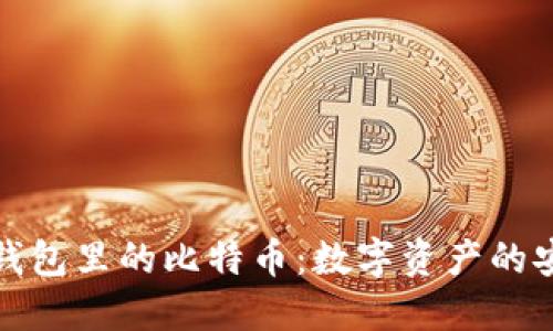 揭秘加密钱包里的比特币:数字资产的安全与价值