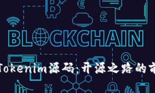 深入解读Tokenim源码:开源之路的前景与挑战