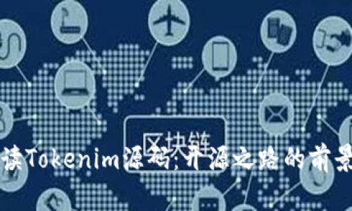 深入解读Tokenim源码:开源之路的前景与挑战
