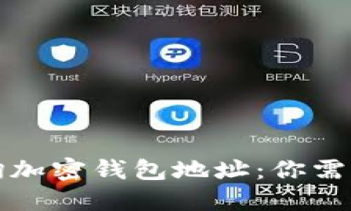 如何高效查询加密钱包地址:你需要知道的一切