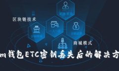 Tokenim钱包ETC密钥丢失后的解决方案详