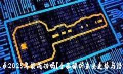   派币2025年能成功吗？全面解析未来走