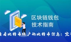 如何查看比特币账户的比特币信息: 完