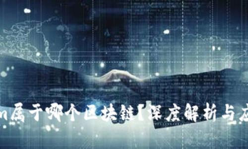 Tokenim属于哪个区块链？深度解析与应用前景