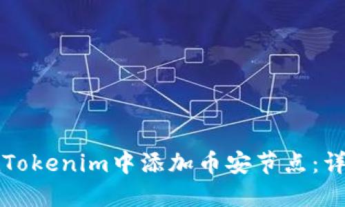 如何在Tokenim中添加币安节点：详细指南